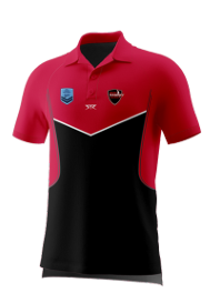 Mens polo