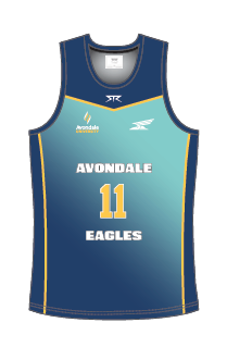 Male AFL Singlet